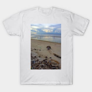 Coconut Shells on a Siquijor Beach at Sunset T-Shirt